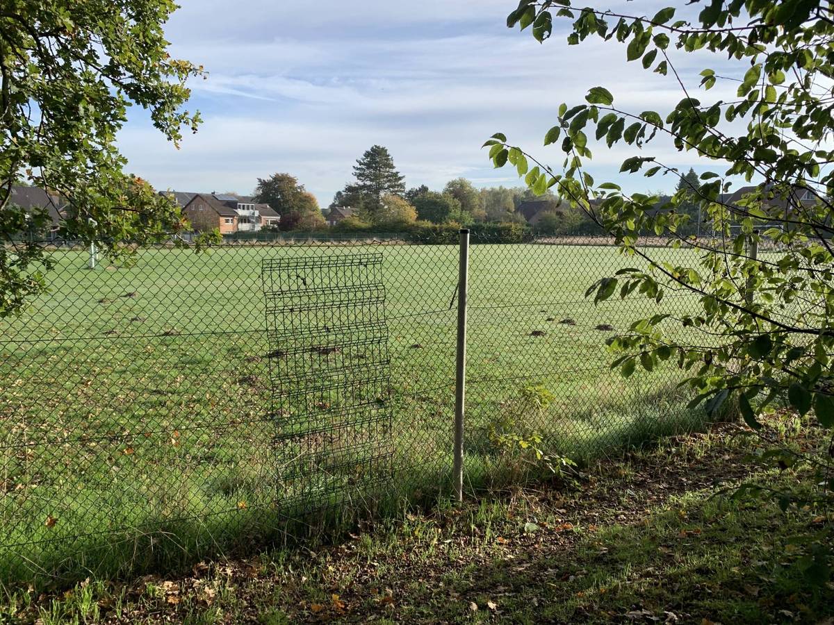 Startschuss für Wohnraumentwicklung