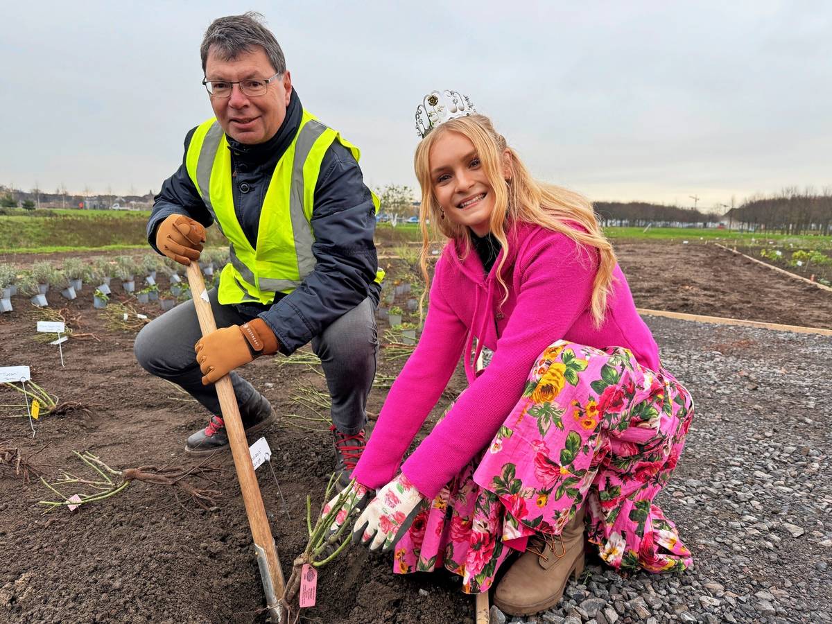 Pflanzungen gestartet