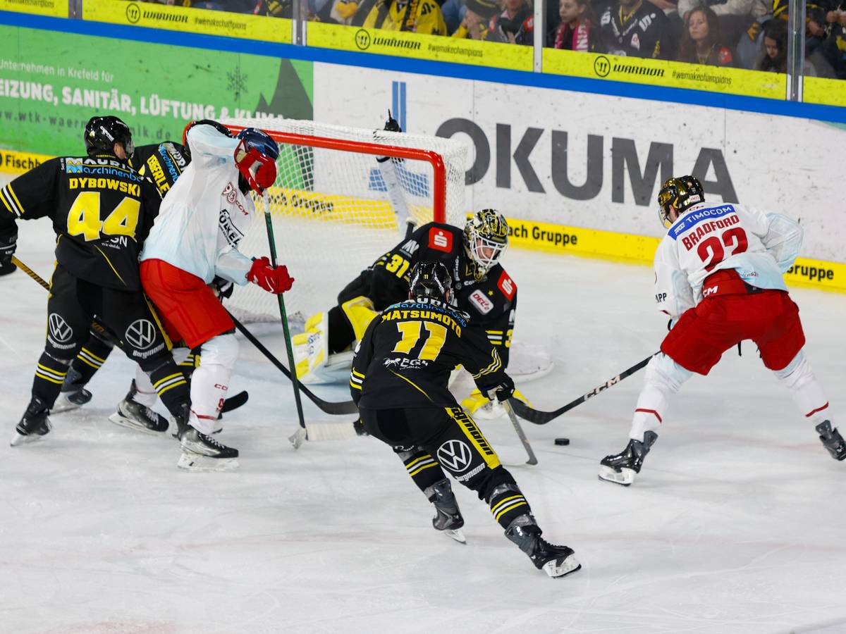 Pinguine melden ausverkauft - nach 15 Minuten!