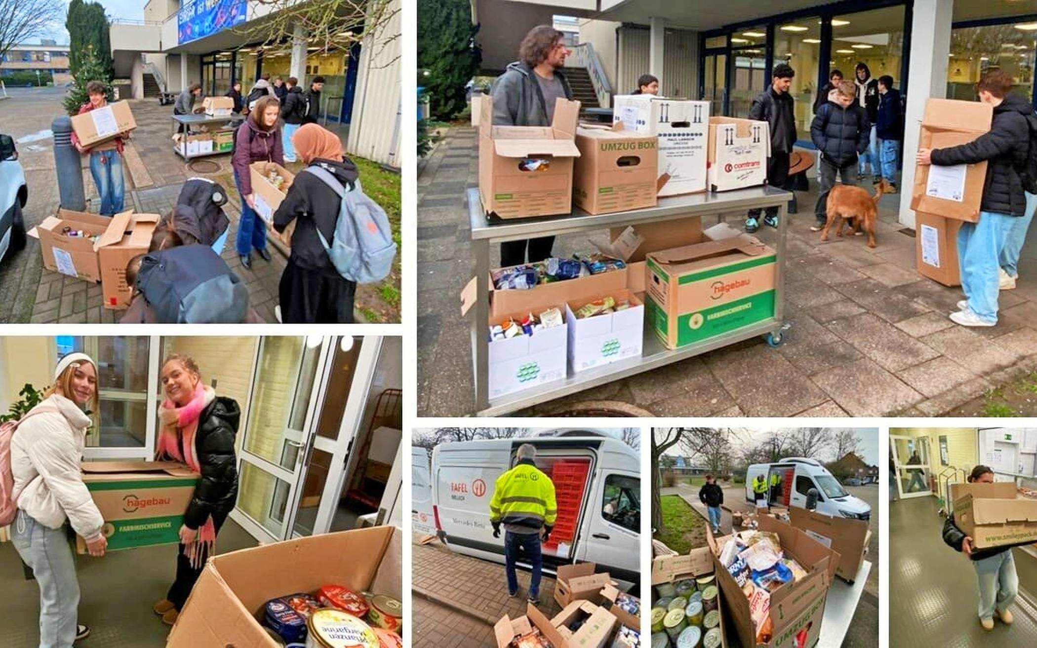 Auch in diesem Jahr haben die