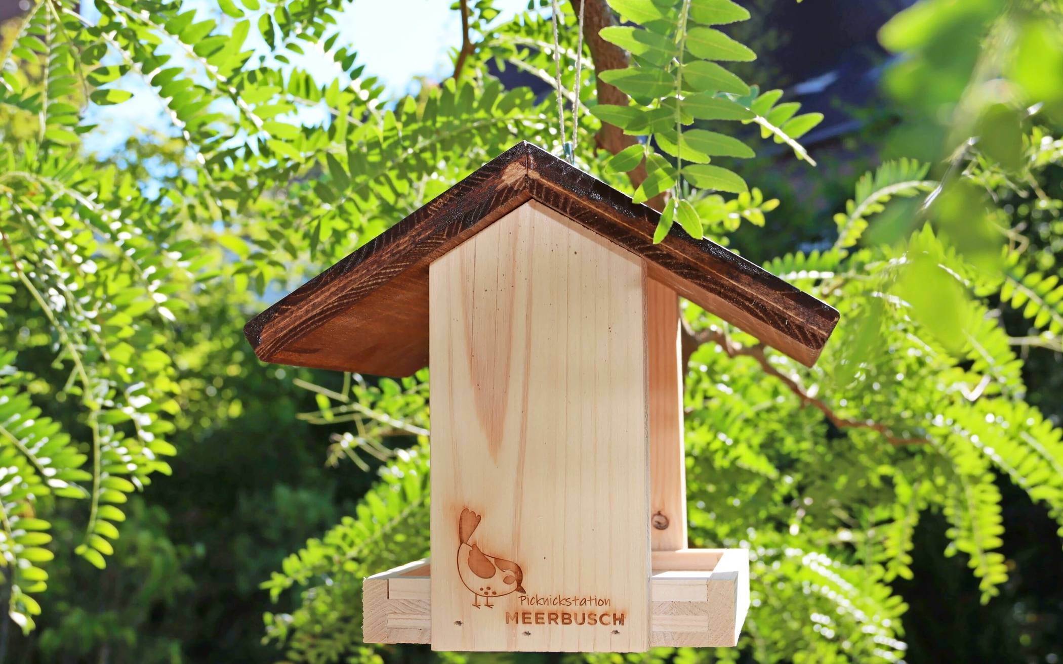 Eine Hilfe für die heimische Vogelwelt