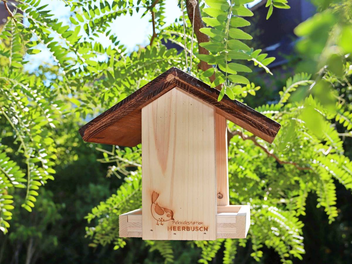 Eine Hilfe für die heimische Vogelwelt