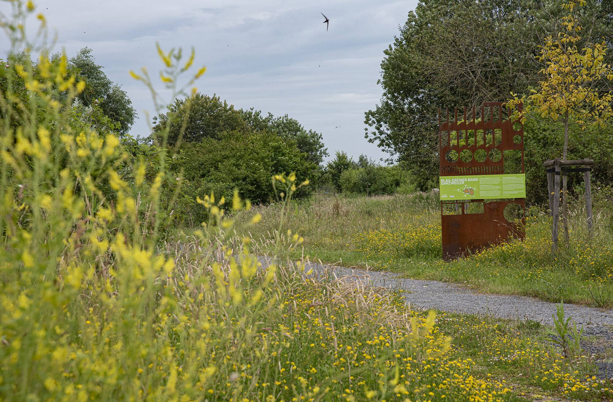 Das Blau-Grüne-Band soll mit Bürgerbeteiligung geplant