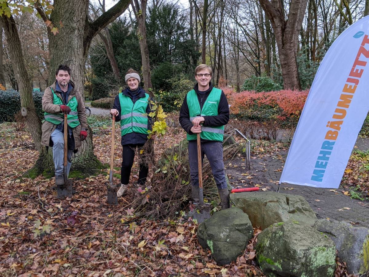 „Mehr Bäume Jetzt“ – erste Ernteaktion
