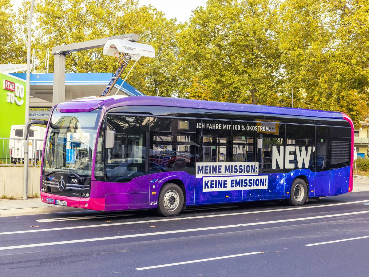 Bußgeld ja, Gefängnis nein