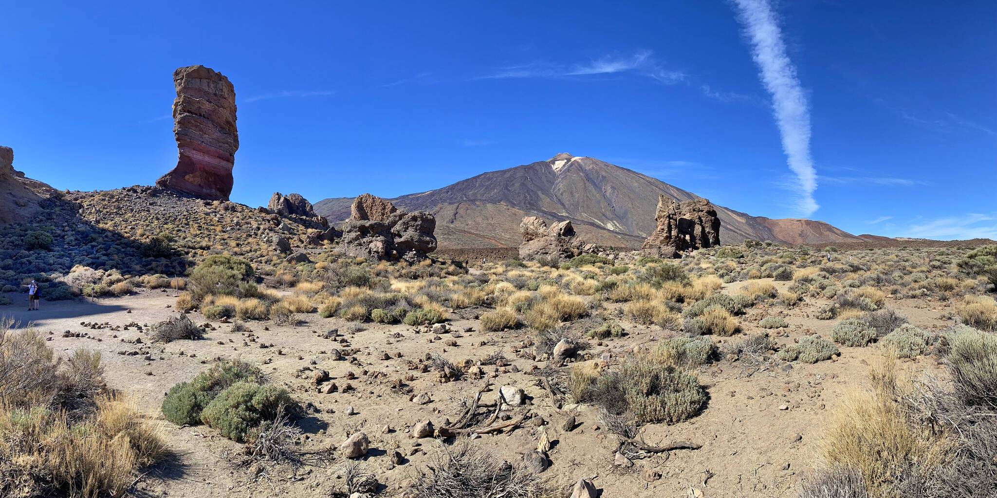 Teneriffa: Wo der Winter zum Frühling wird