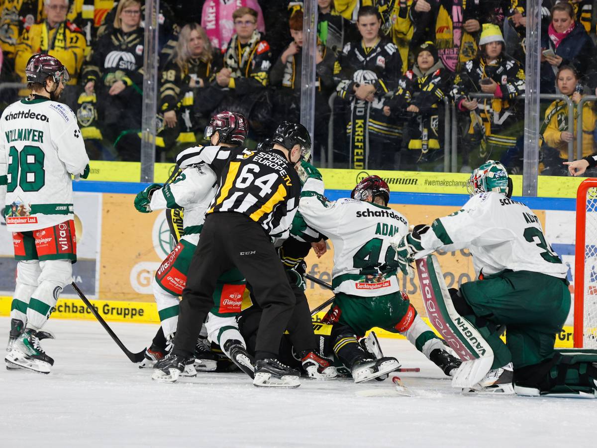 Krefeld Pinguine verlieren gegen Starbulls Rosenheim
