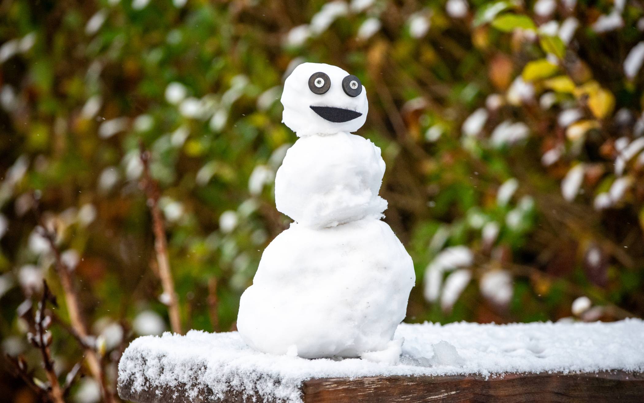 Neues Jahr beginnt mit weißer Pracht
