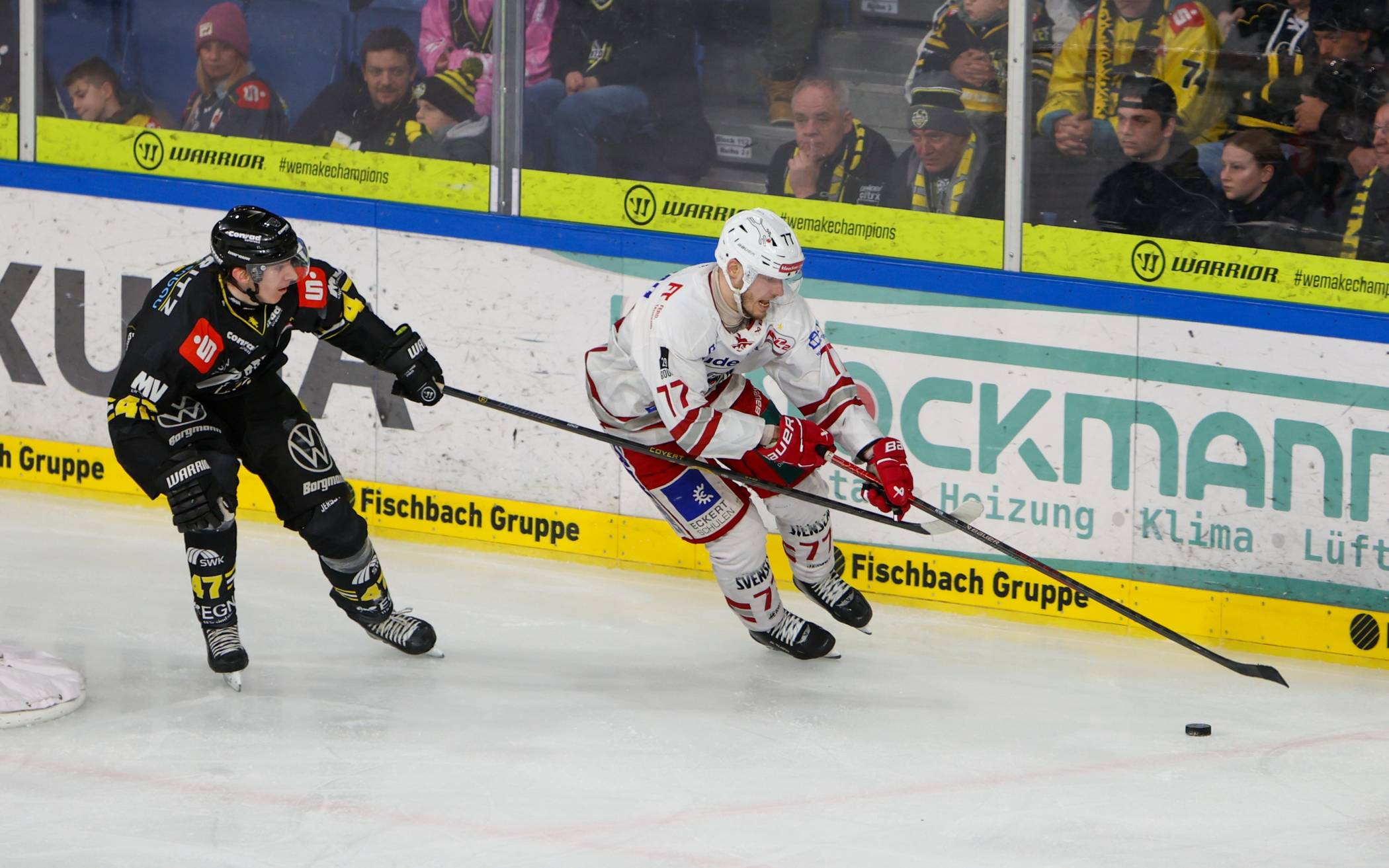 Krefeld Pinguine starten mit Heimsieg ins neue Jahr