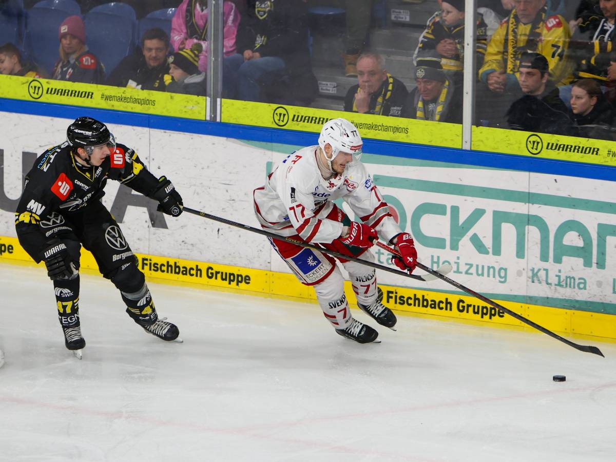 Krefeld Pinguine starten mit Heimsieg ins neue Jahr