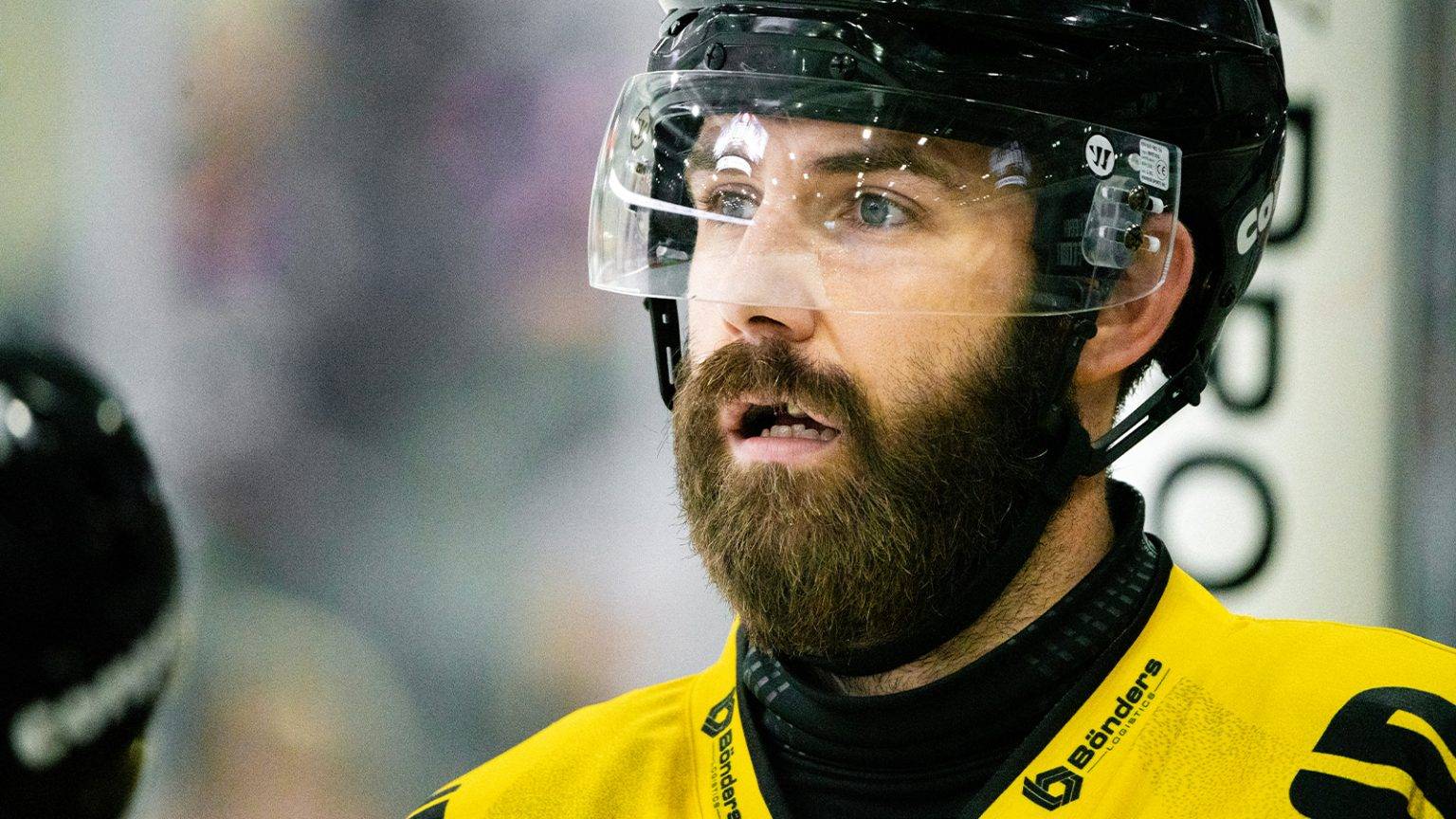 Krefeld Pinguine schlagen die Eispiraten Crimmitschau