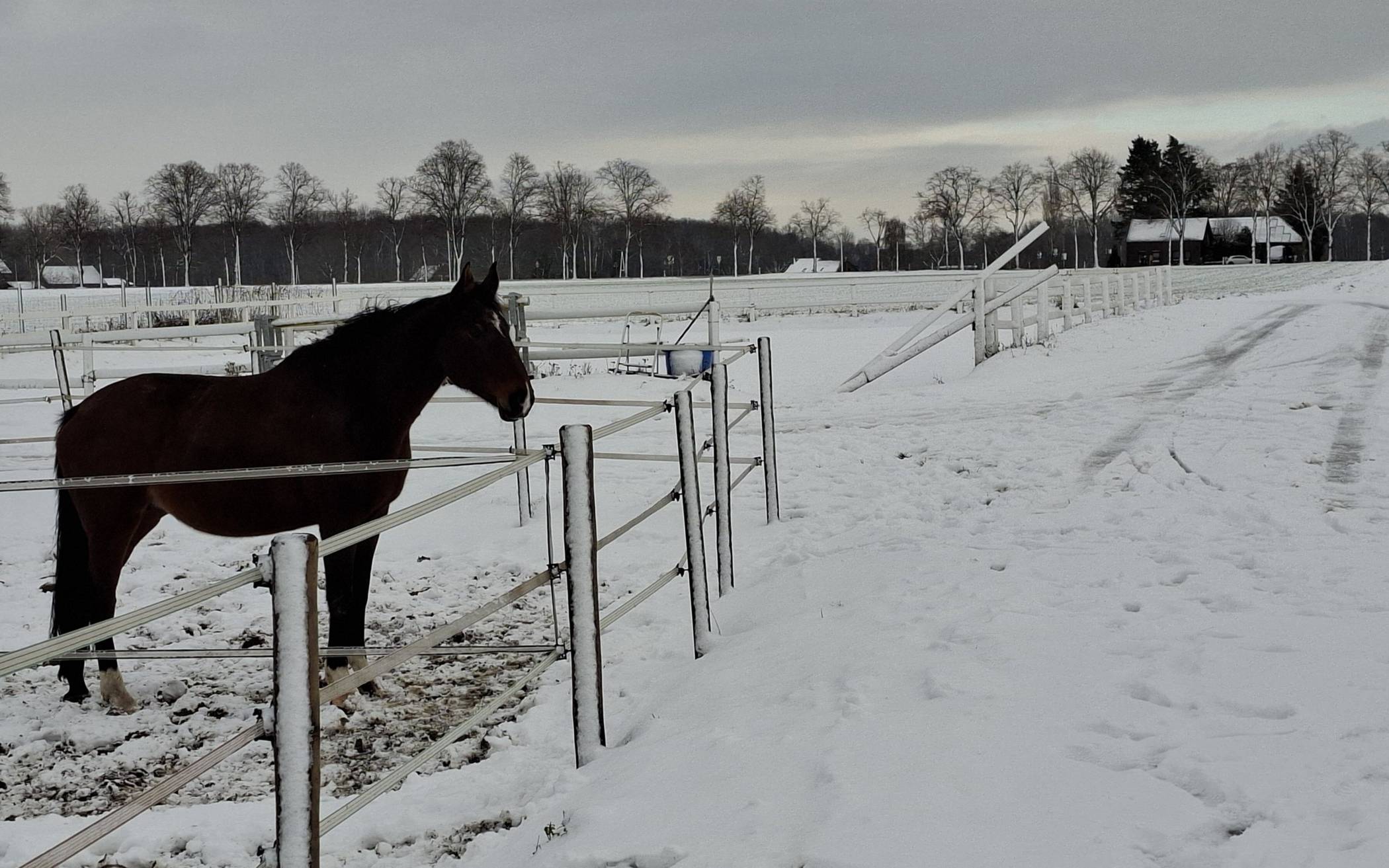 Schneelandschaft am Niederrhein

