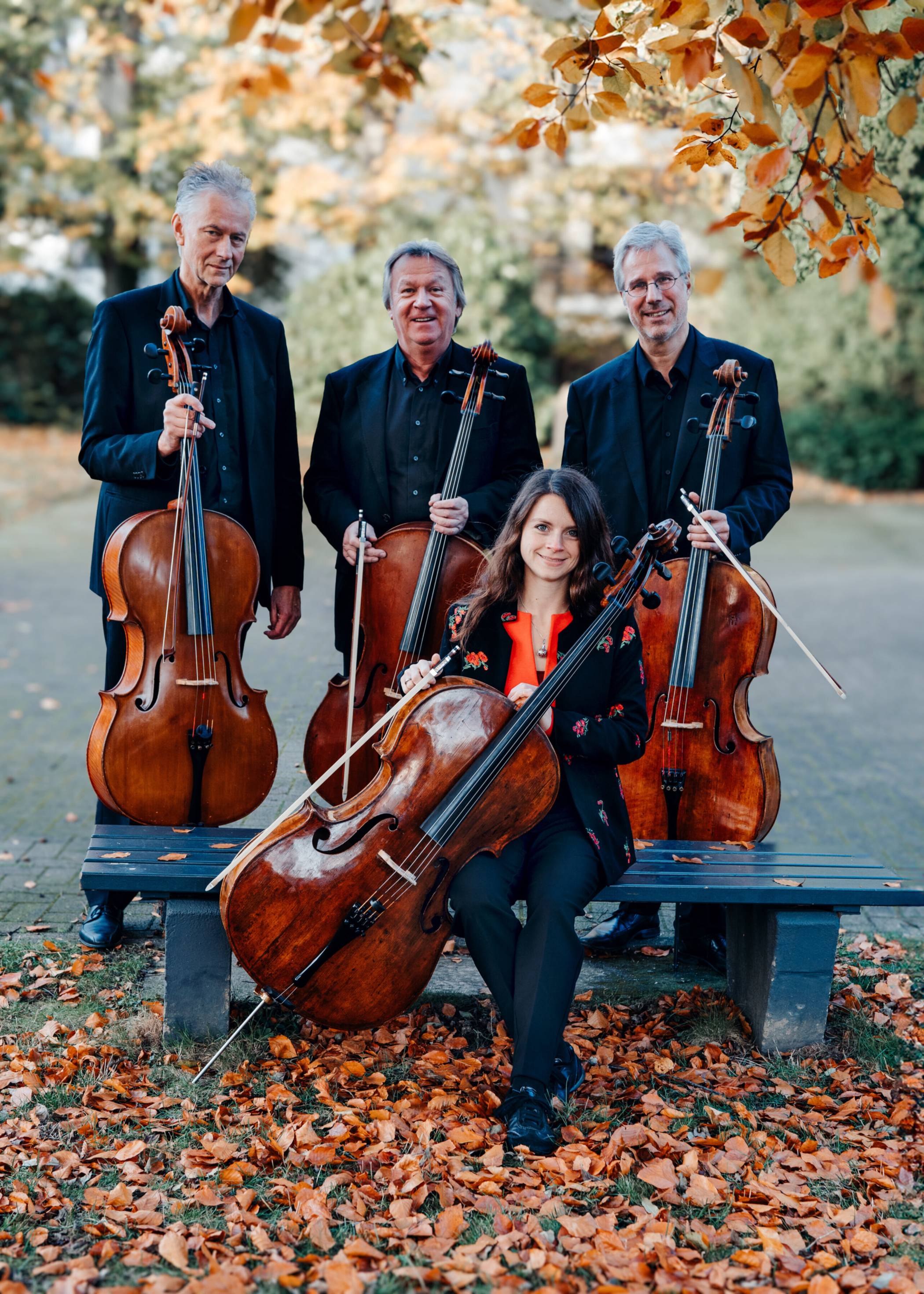 Das Quartett „Force 4 cello“ wurde vor 20 Jahren gegründet   