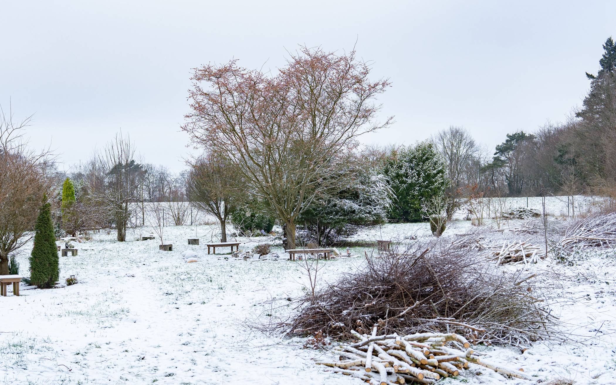 Corinna Tries und ihr Mitarbeiter Jan