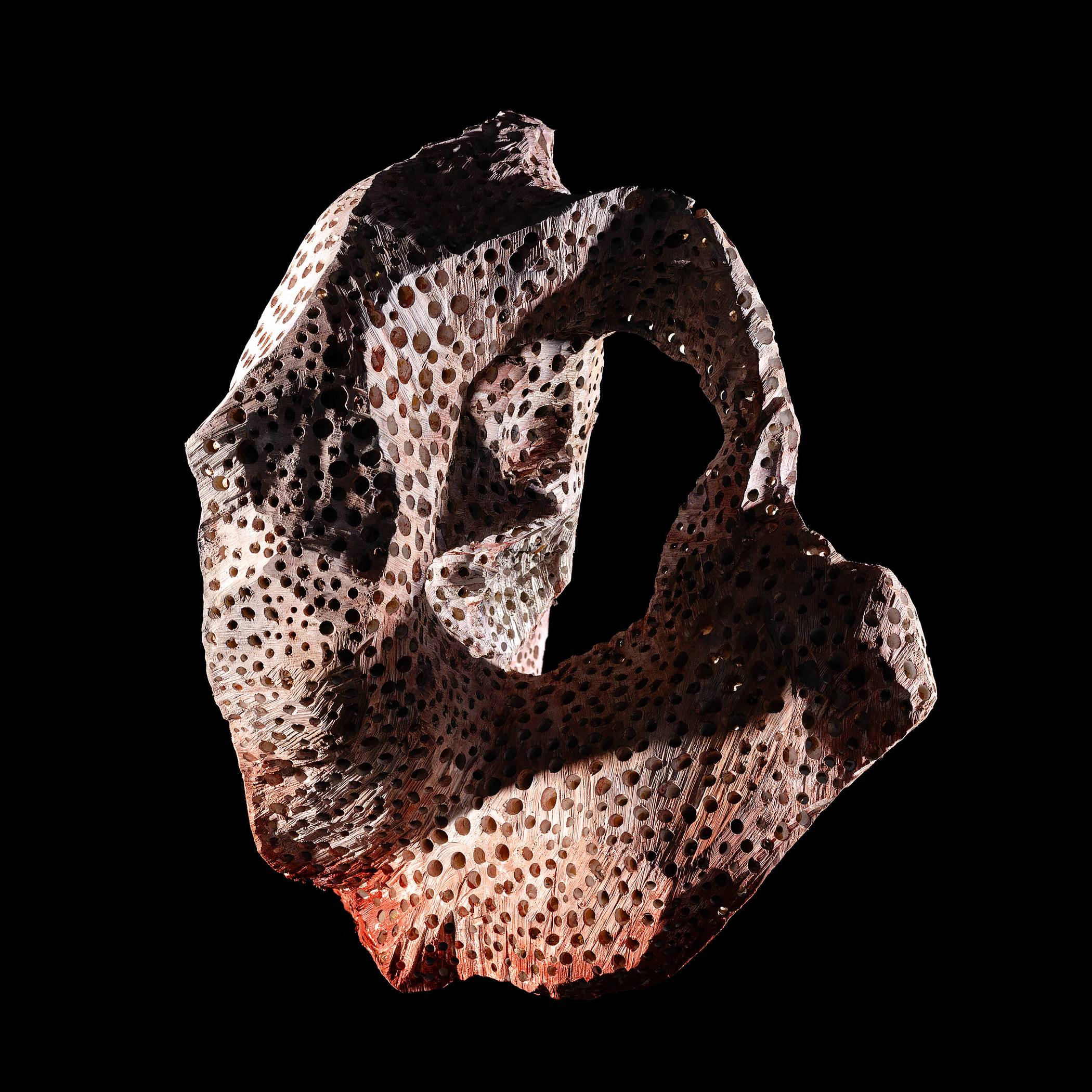 Sonja Kreutzers Arbeit „Coral-Dying III“.  