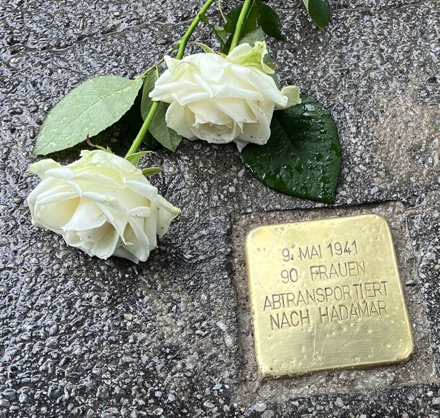 Stolperstein auf dem Gelände der LVR-Klinik Viersen. Foto: LVR-Klinik Viersen