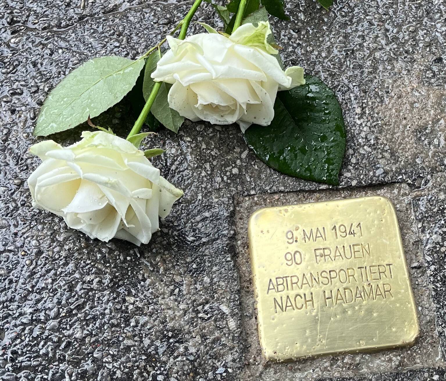 Stolperstein auf dem Gelände der LVR-Klinik