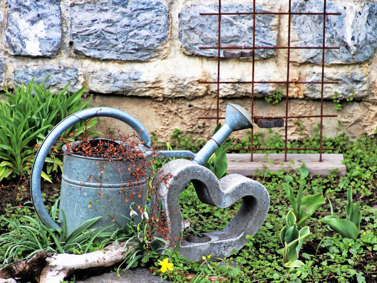 Vorsorgen und gesund bleiben