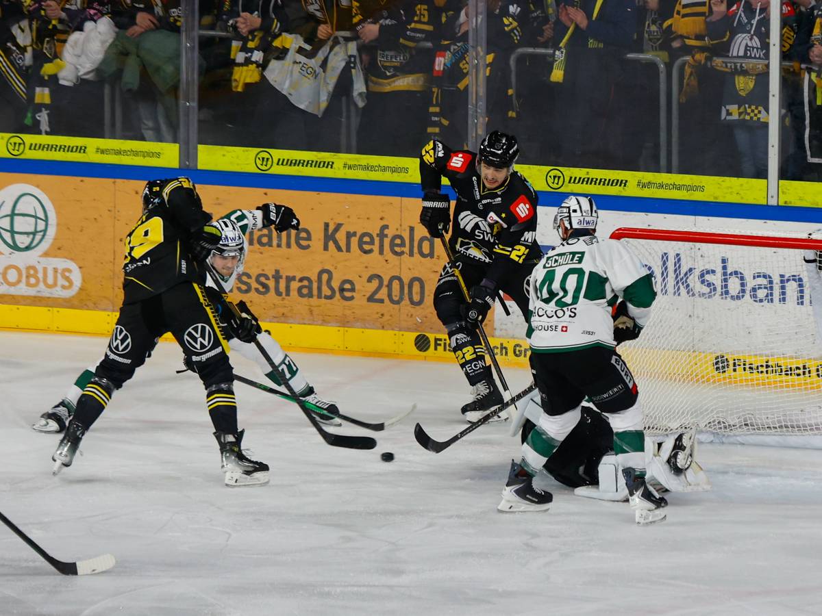 Pinguine gewinnen in Bietigheim