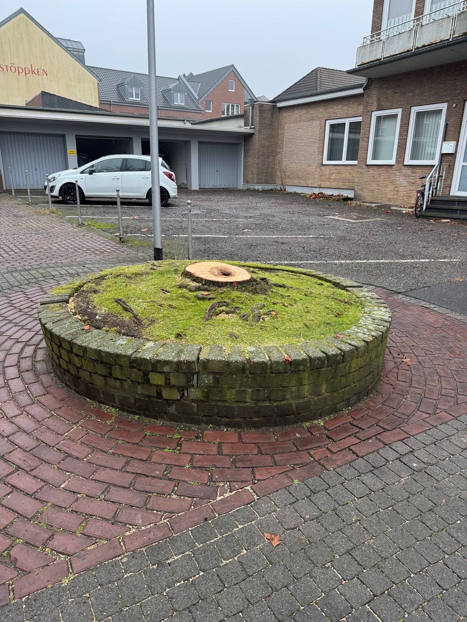  Auf der von-Bocholtz-Straße hat der Baum das Pflanzbeet gesprengt. Er wies Vergreisungs- und Absterbeerscheinungen in der Krone aufgrund des sehr beengten Wurzelraums auf. Zudem lag ein beginnender Fäulnisschaden vor. Eine Nachpflanzung mit einem an den Standort angepassten Baum ist geplant. 