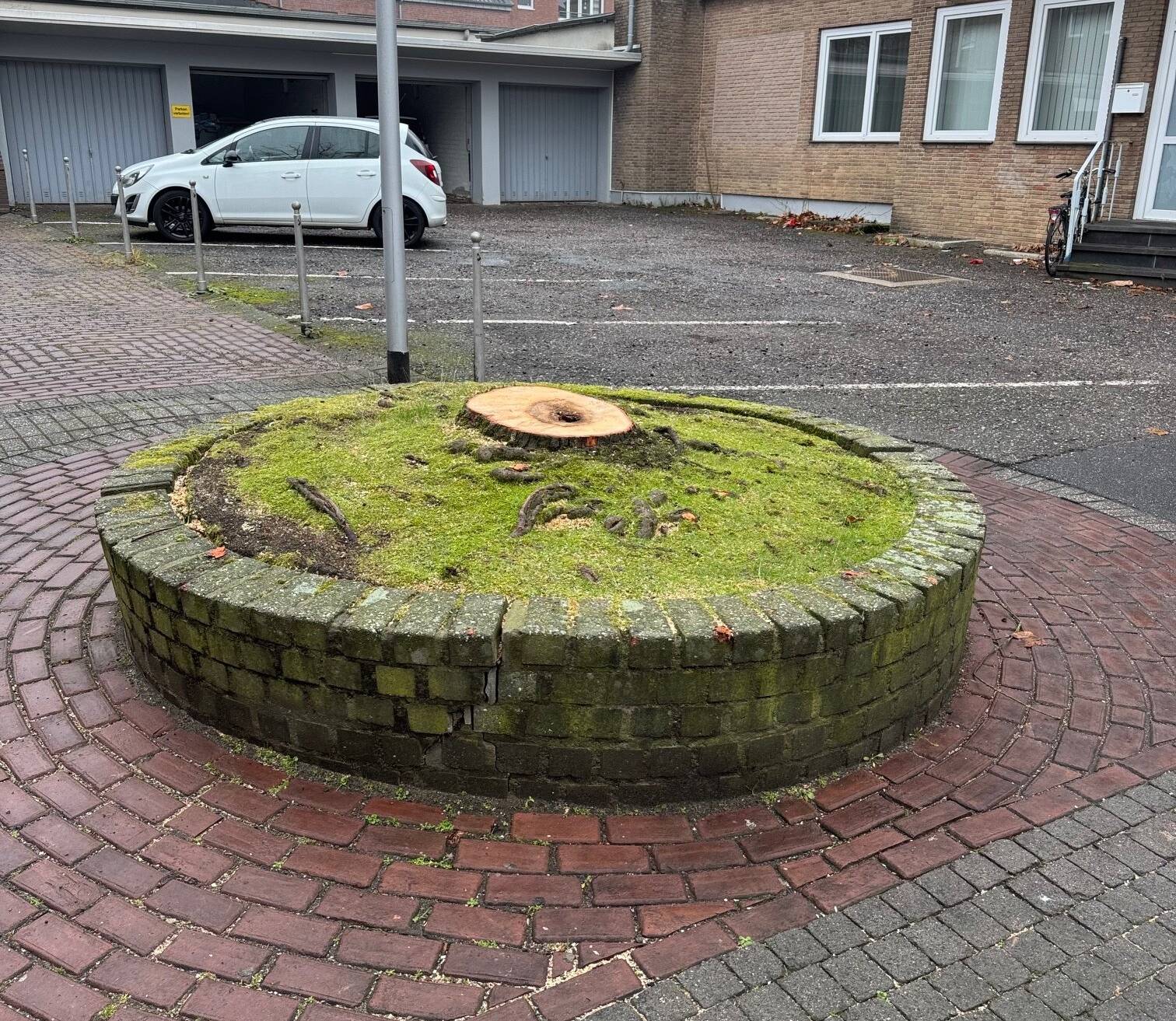 Auf der von-Bocholtz-Straße hat der Baum