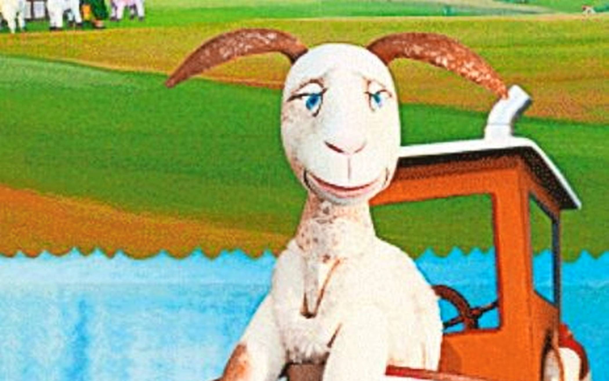 Schaf Berthold gilt als „Muttersöhnchen“. 