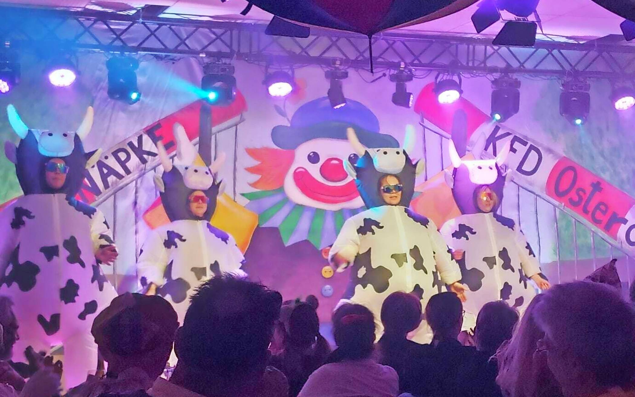  Die „Dancing Queens“ sorgen für Stimmung. 