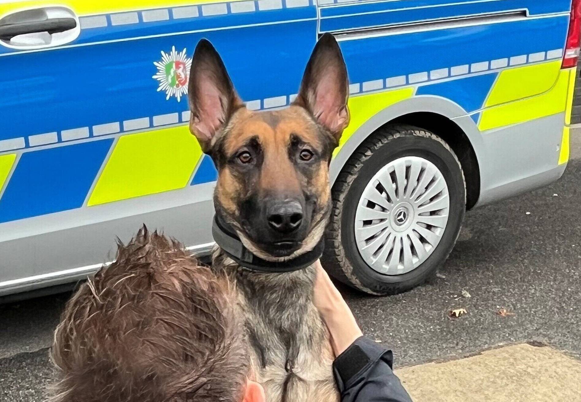 Gladbachs next Top-Cop-Dog