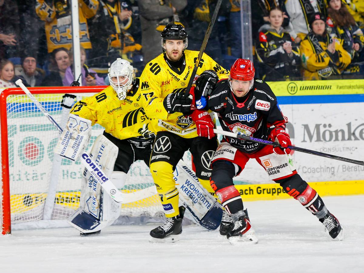 Krefeld Pinguine: 3:1 im Heimspiel gegen den EV Landshut
