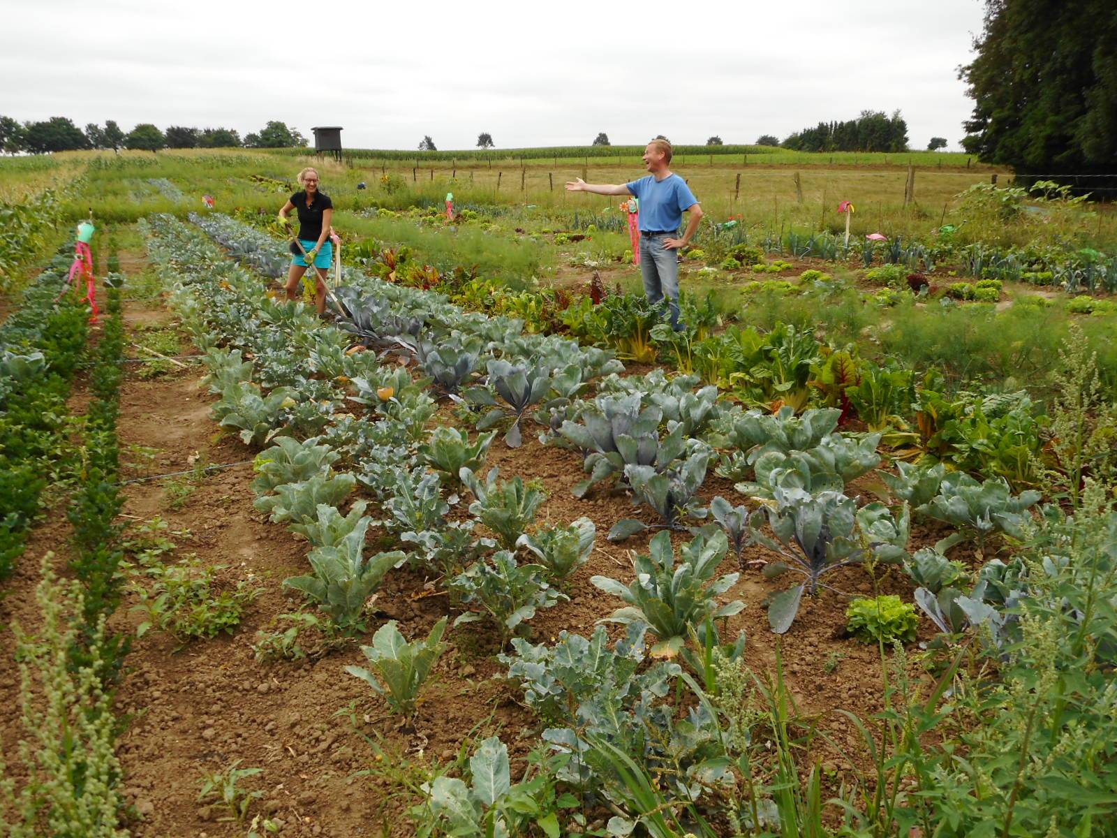  Auch 2026 kann man wieder Gemüse-Parzellen auf dem Biohof Essers in Jüchen-Neuenhofen pachten. 