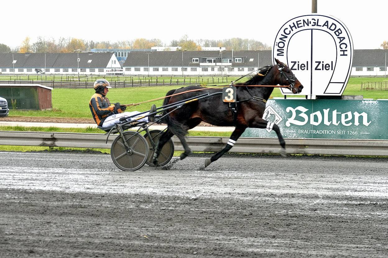 Kurt Roesges geht mit Puskas Boko beim Gerd Hillers-Geburtstagsrennen an den Start.