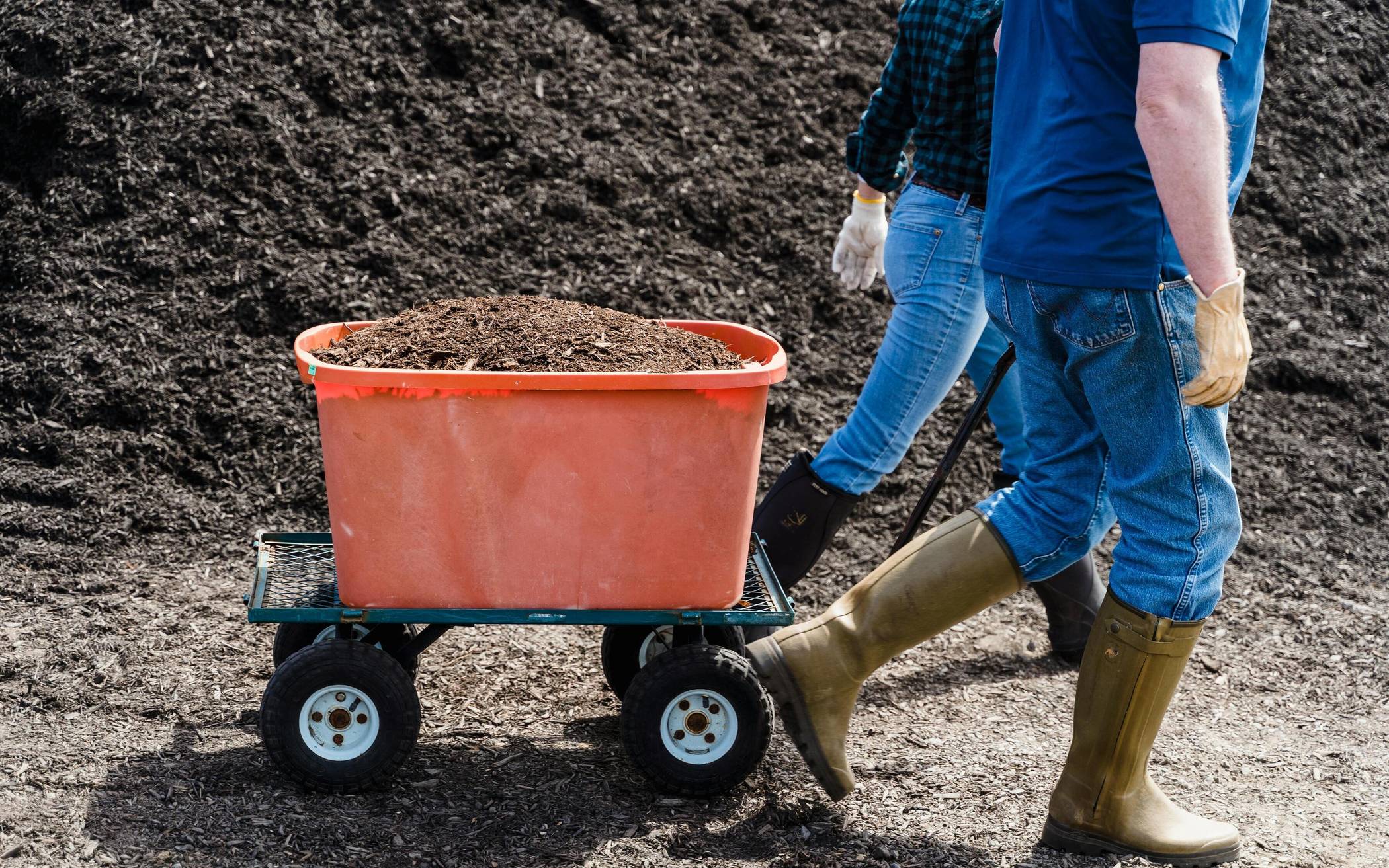 Wie in den Vorjahren wird den