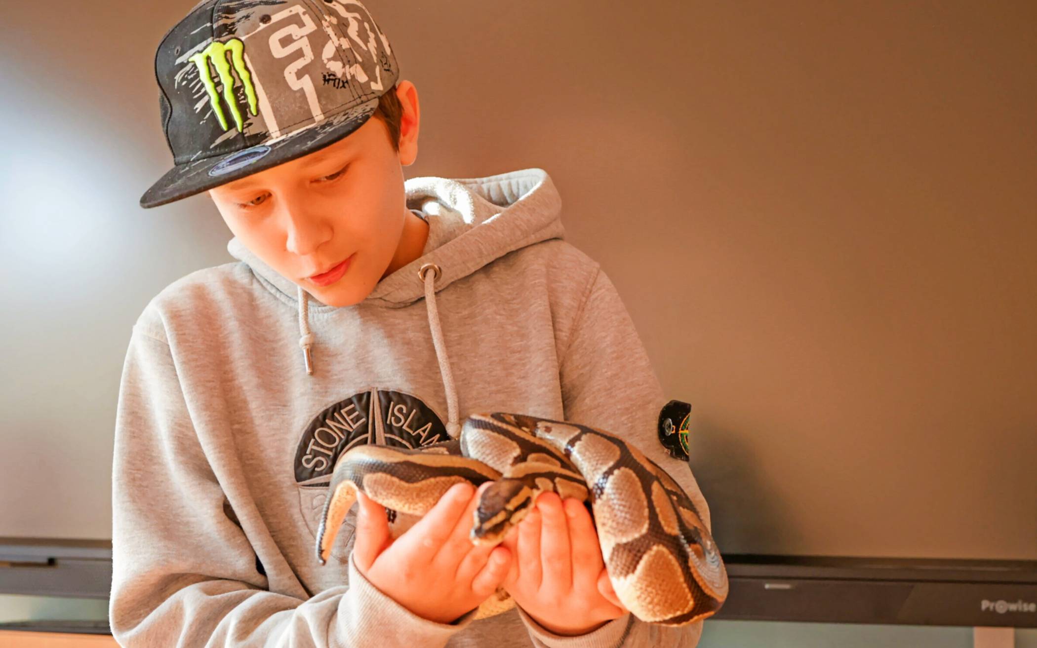 Hautnah: Die Unterrichtseinheit mit Besuch von Reptilien aus dem Terra-Zoo stieß bei den Kindern auf großes Interesse.  