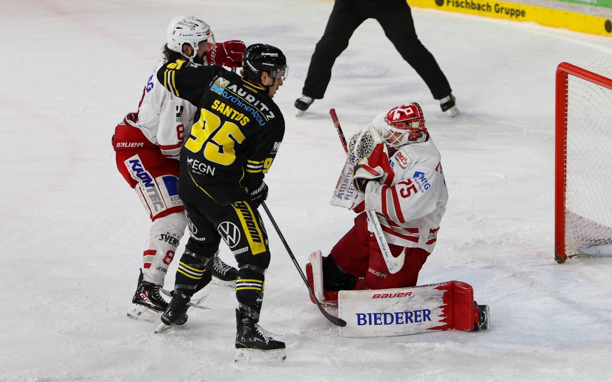 Von wegen Schaulaufen: Pinguine dominieren die Eisbären