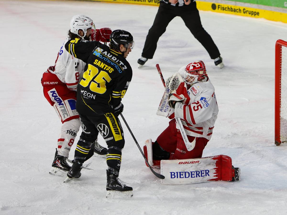 Von wegen Schaulaufen: Pinguine dominieren die Eisbären