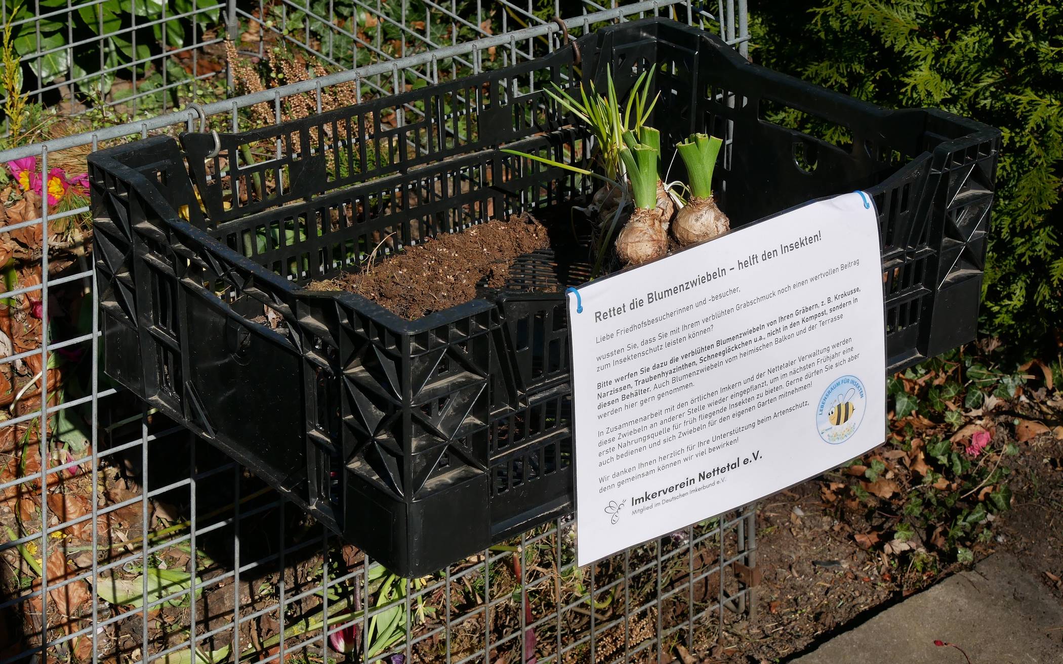 Für mehr Blüten und Insektenschutz 