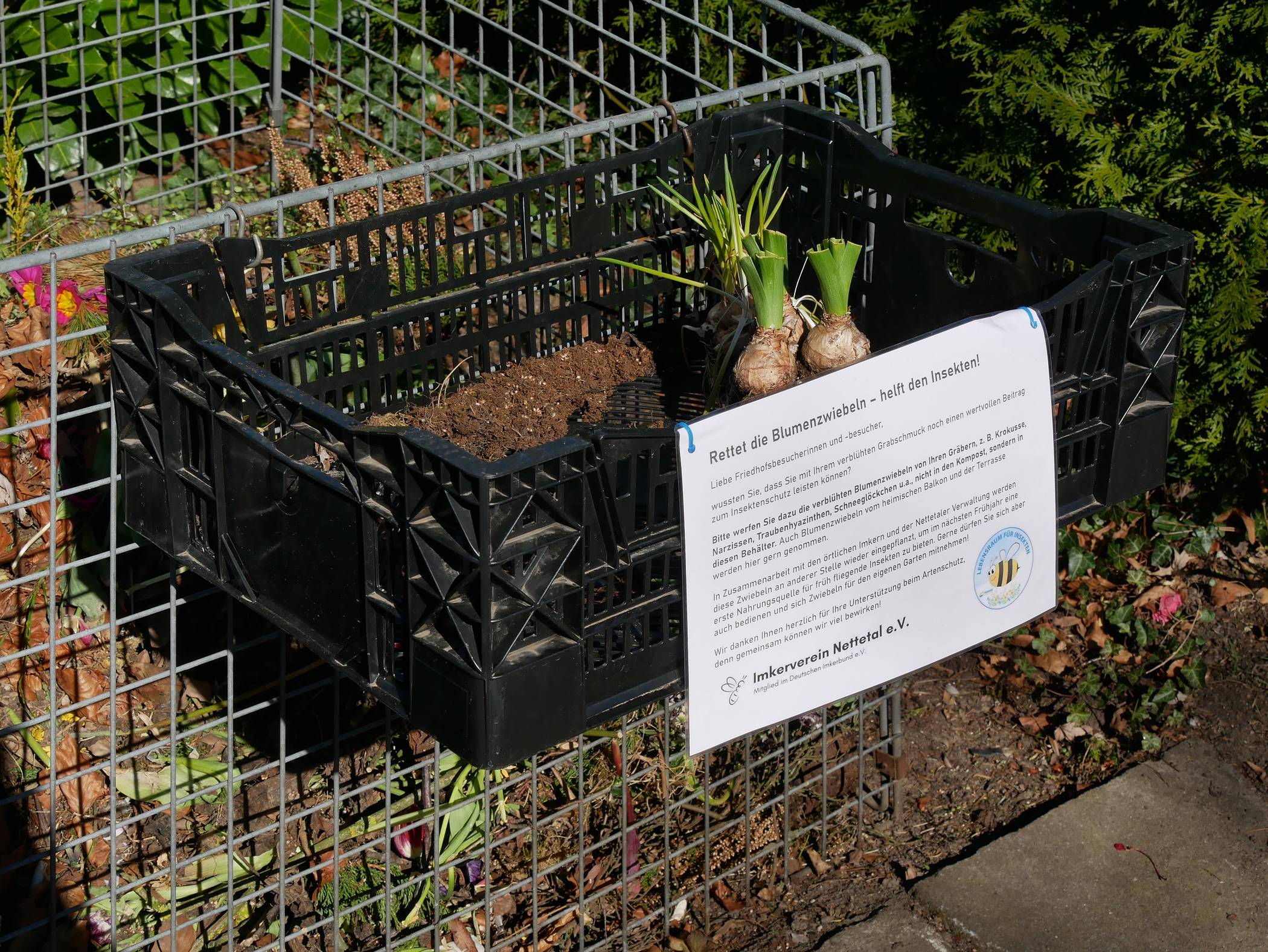 Foto: Stadt Nettetal