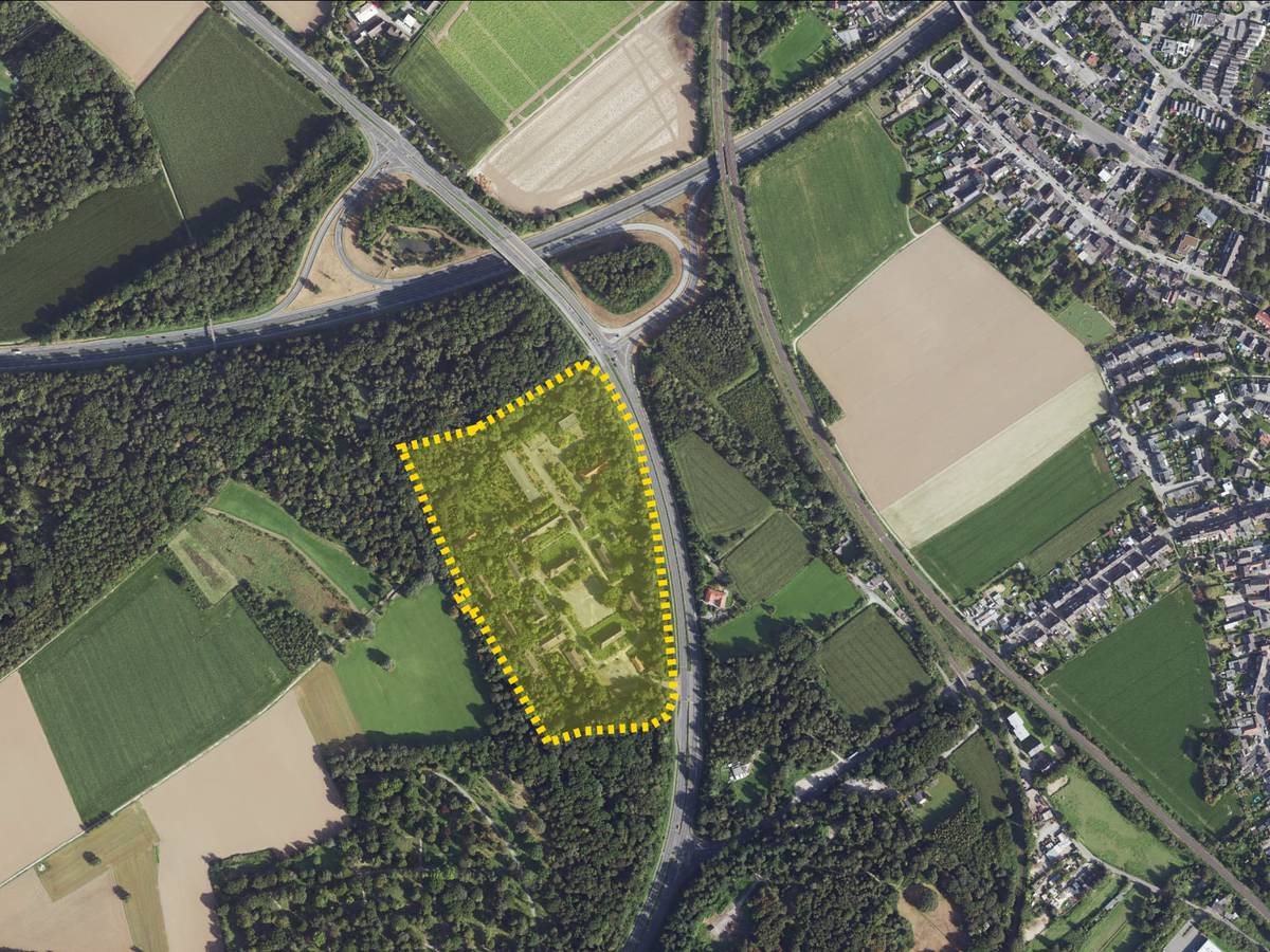 Perspektiven für NEW und mags