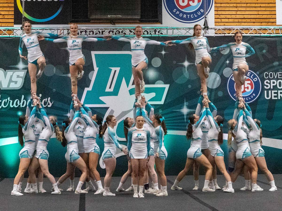 Dolphins Cheerleader Krefeld
