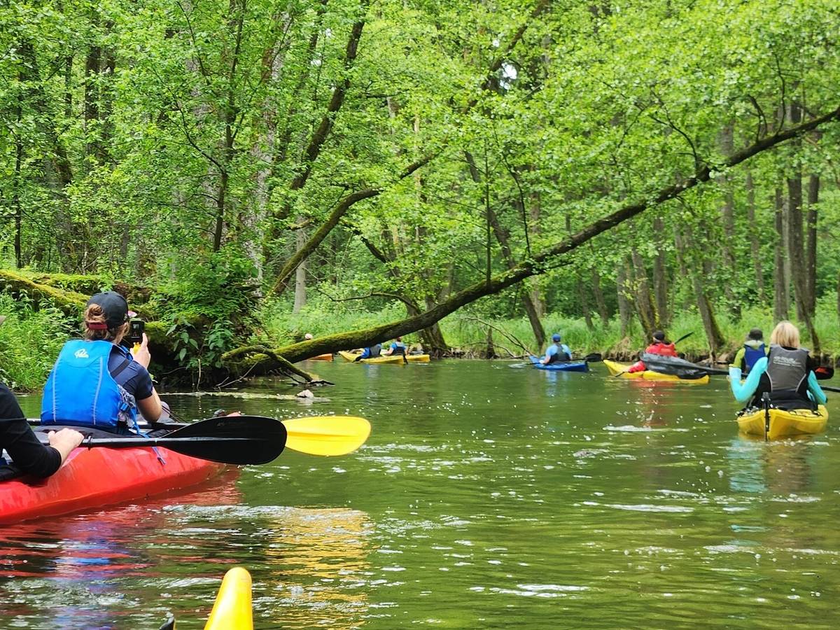 Grefrather Kanuten sind über 10.000 km gepaddelt