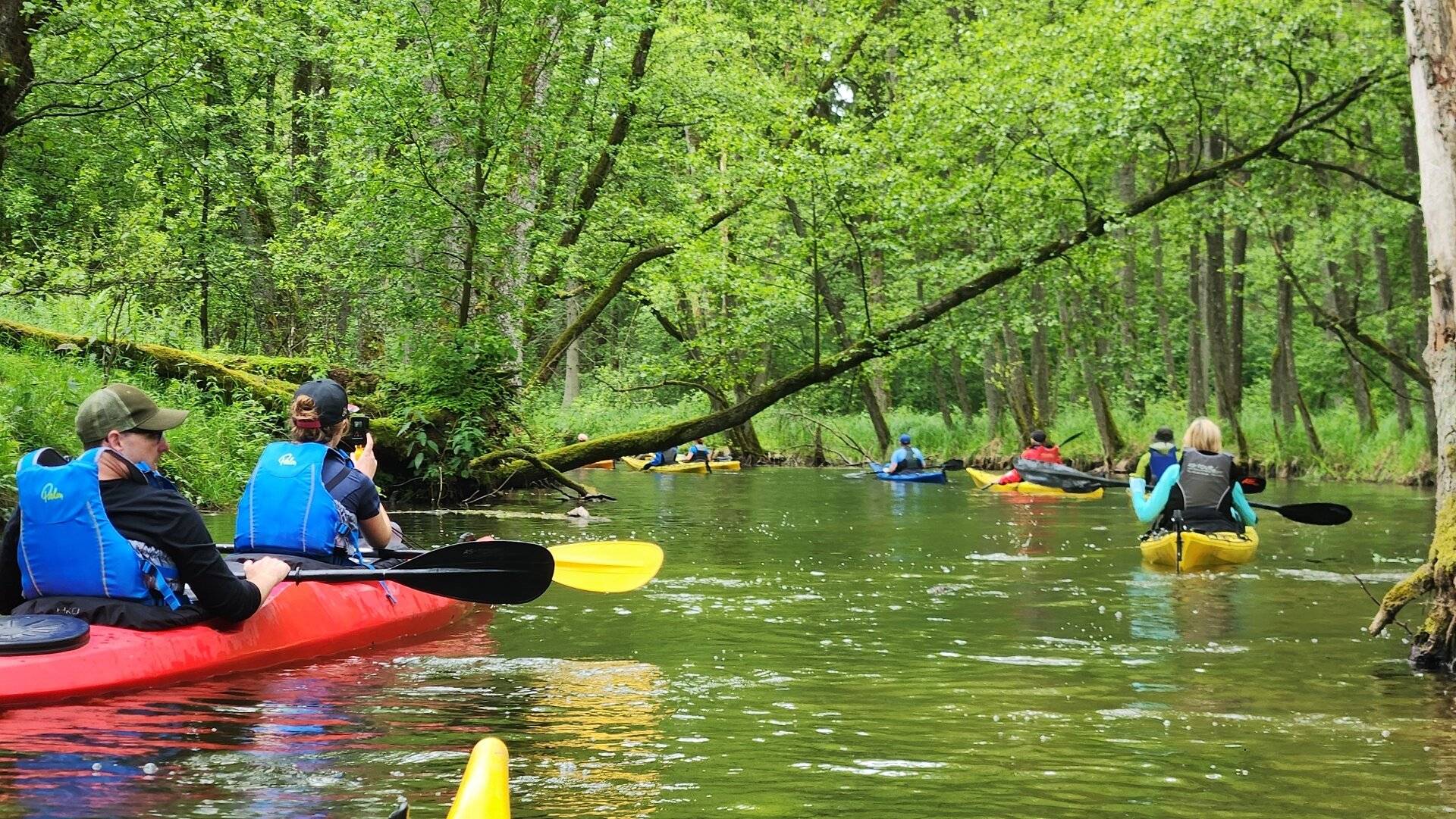 Grefrather Kanuten sind über 10.000 km gepaddelt