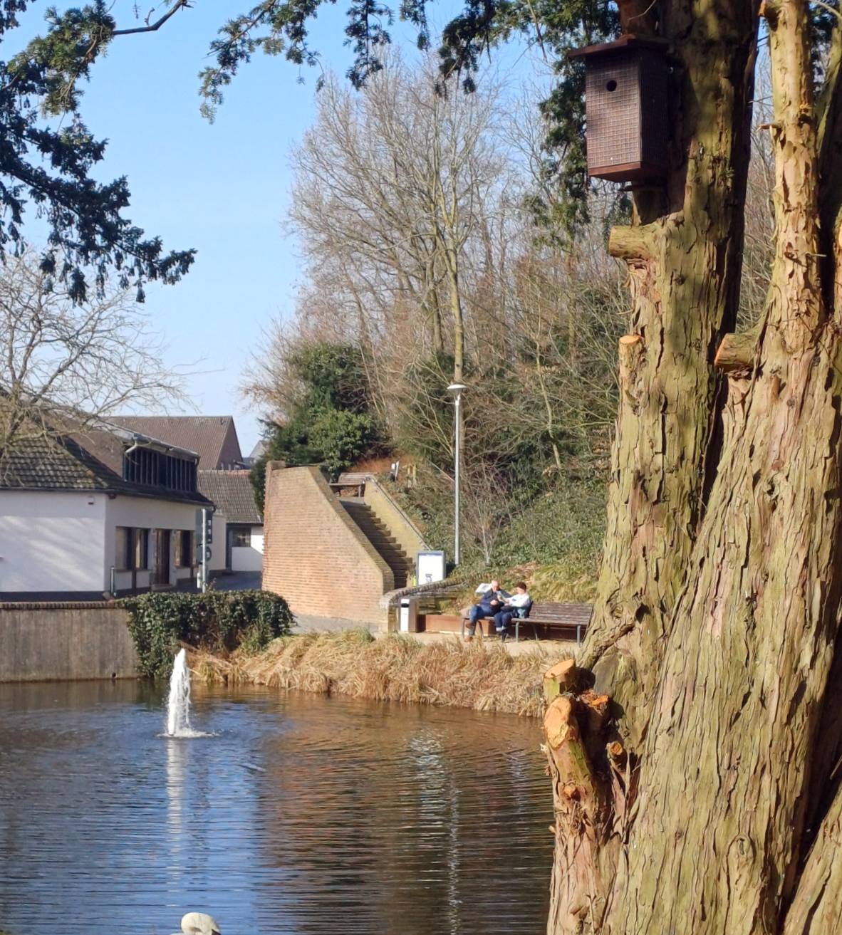 Zahlreiche Vogel- und Fledermauskästen wurden rund