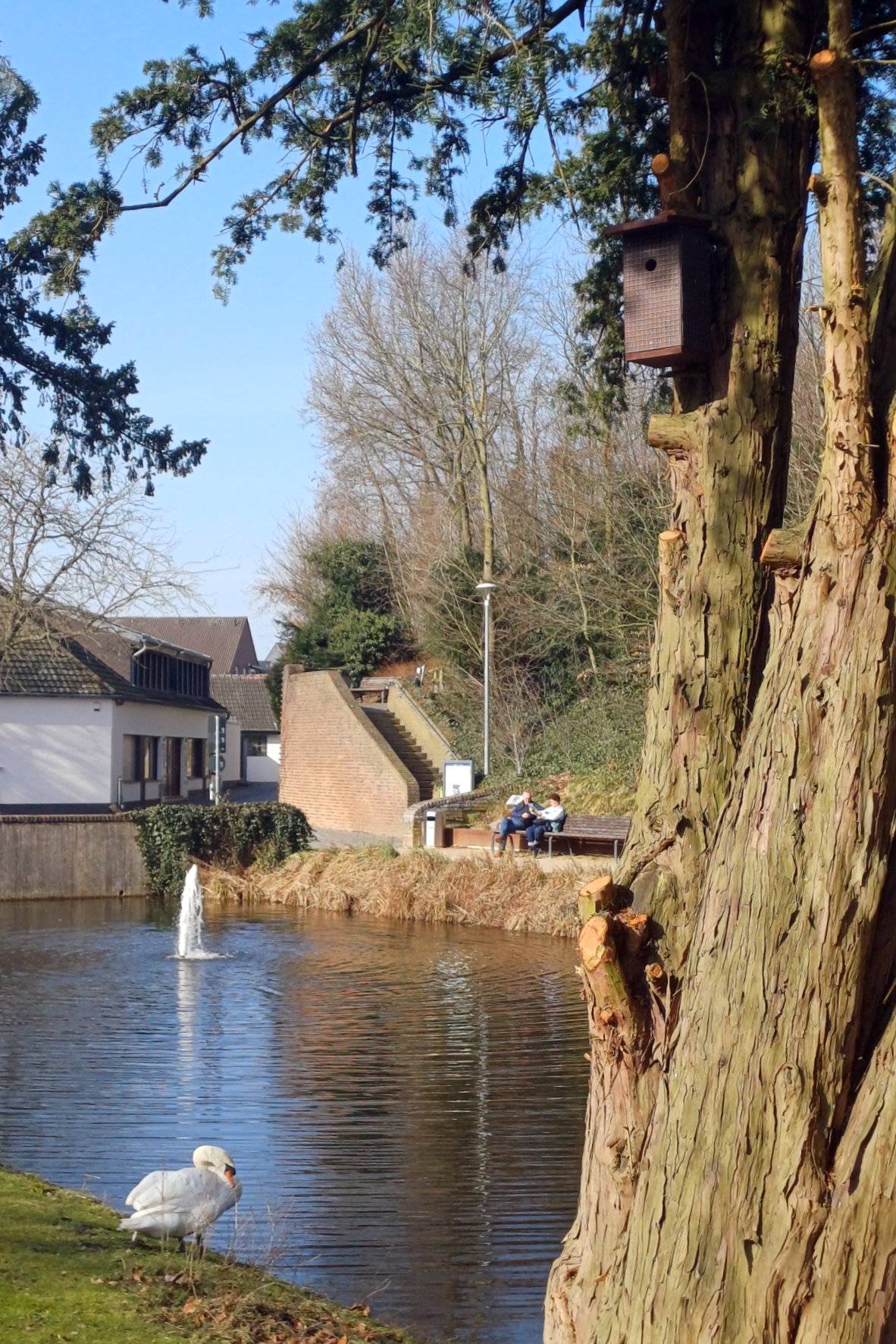 Zahlreiche Vogel- und Fledermauskästen wurden rund um die Burg angebracht. 