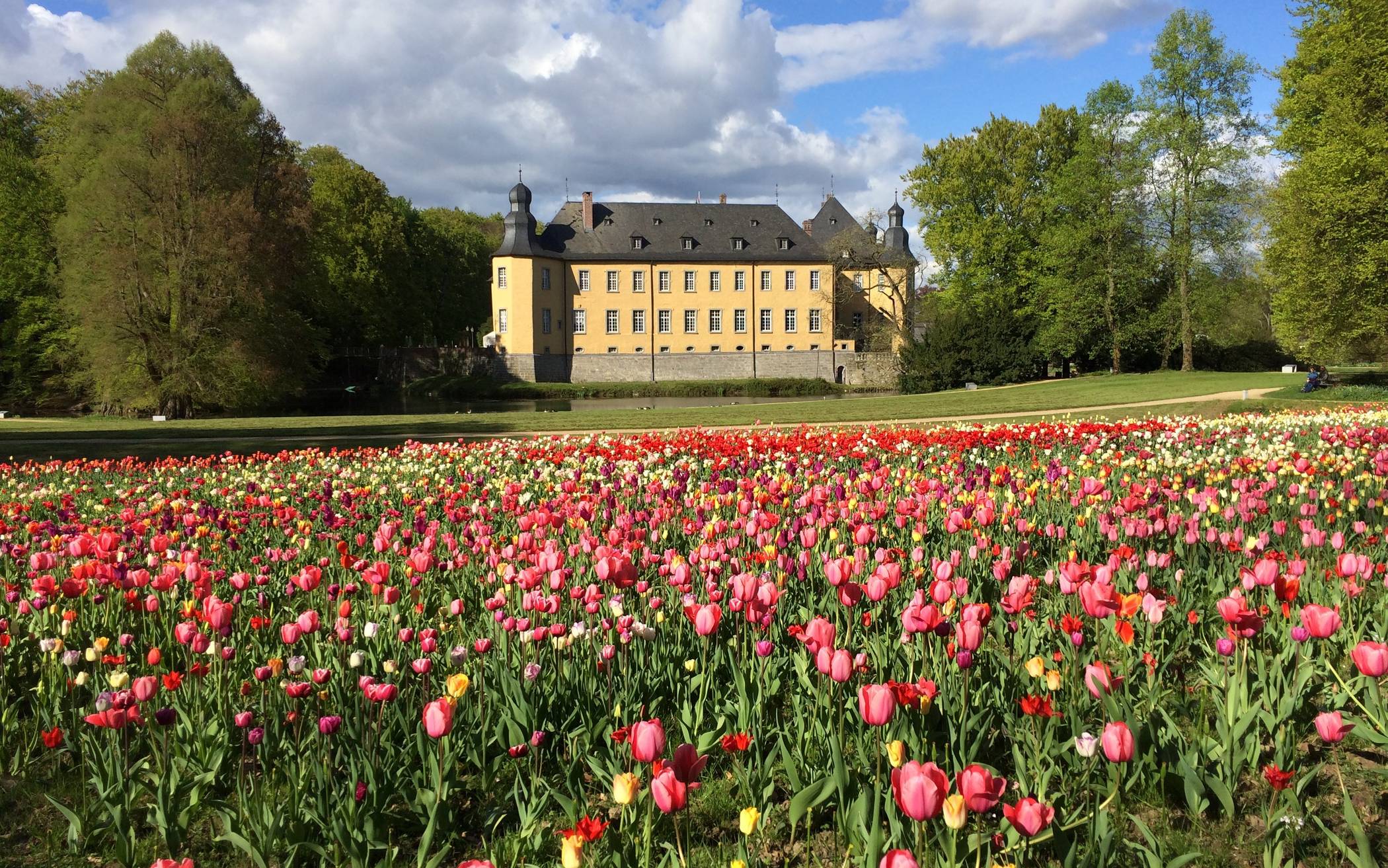Auf Schloss Dyck ist der Frühling