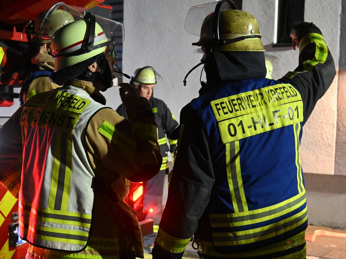 Vierbeiner stirbt bei Brand in Stahldorf