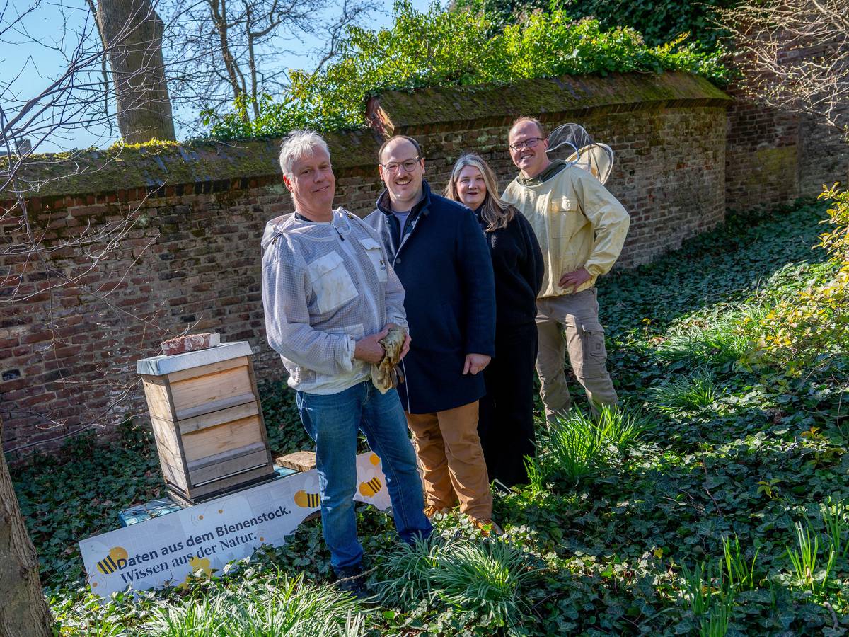 Können Bienen auch Wetter?