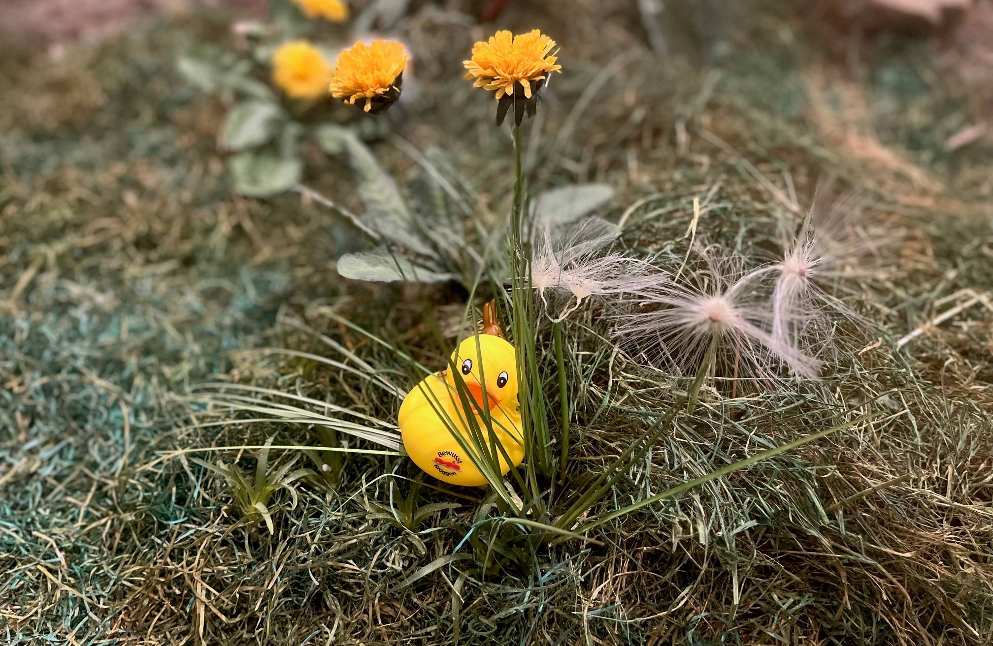 Wer bei der Osterhasen-Entchen-Suche erfolgreich ist,