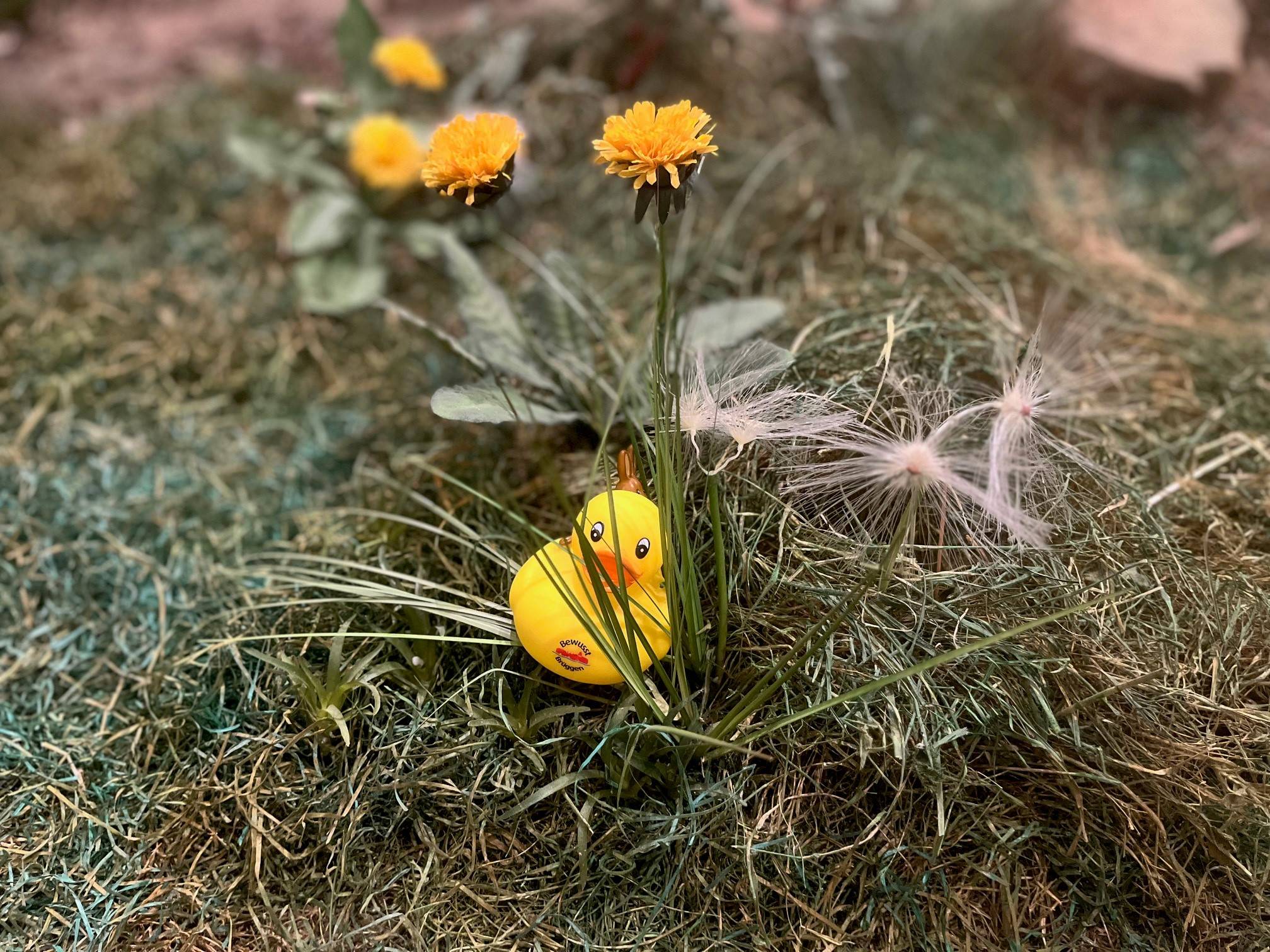 Wer bei der Osterhasen-Entchen-Suche erfolgreich ist, darf sich auf eine kleine Belohnung freuen. 