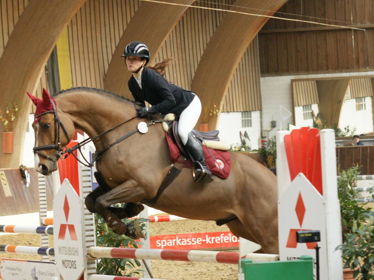 Turnier der jungen Pferde Krefeld 2026
