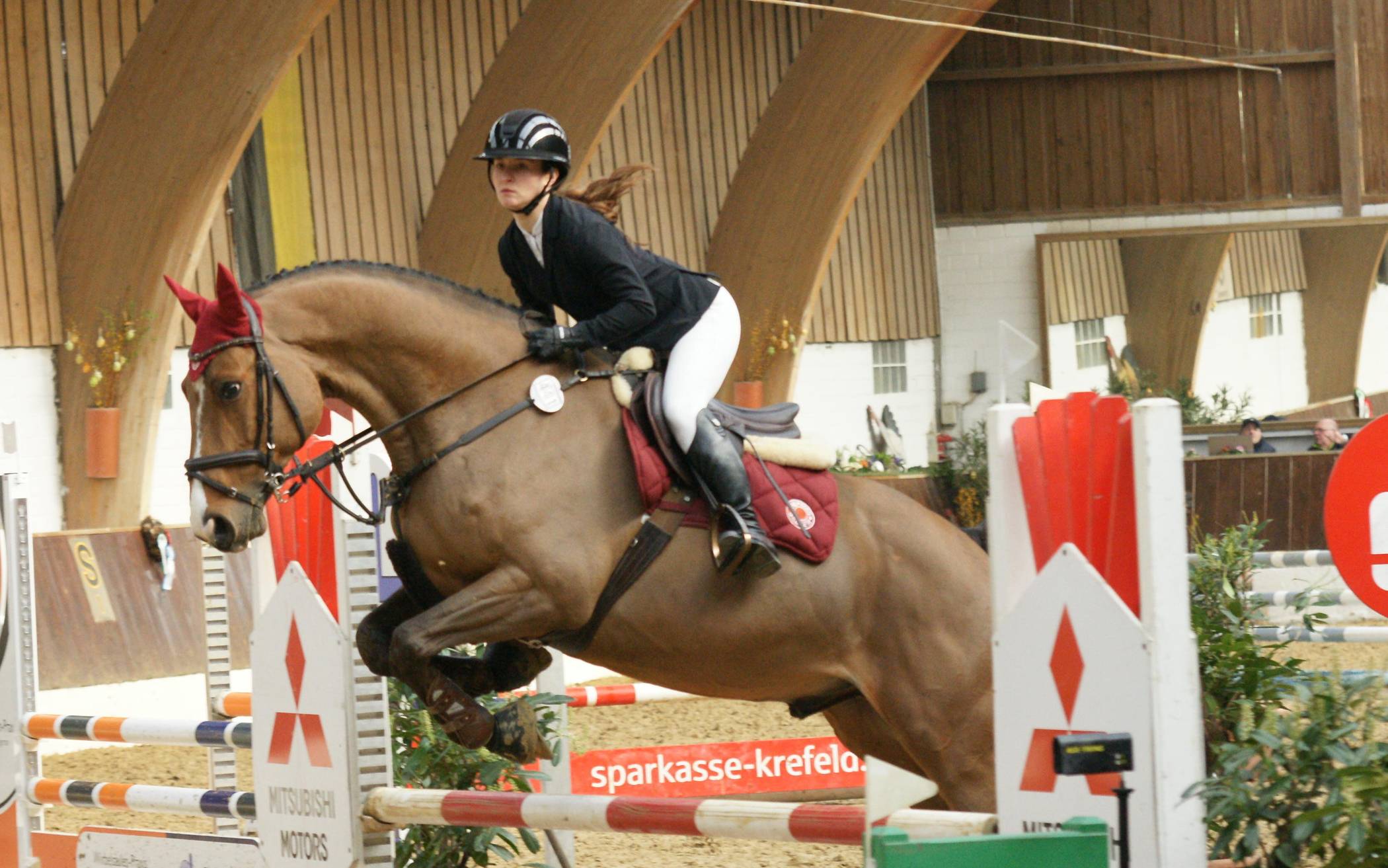 Turnier der jungen Pferde Krefeld 2026
